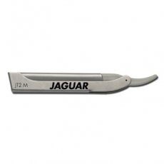 Jaguar JT2 mes